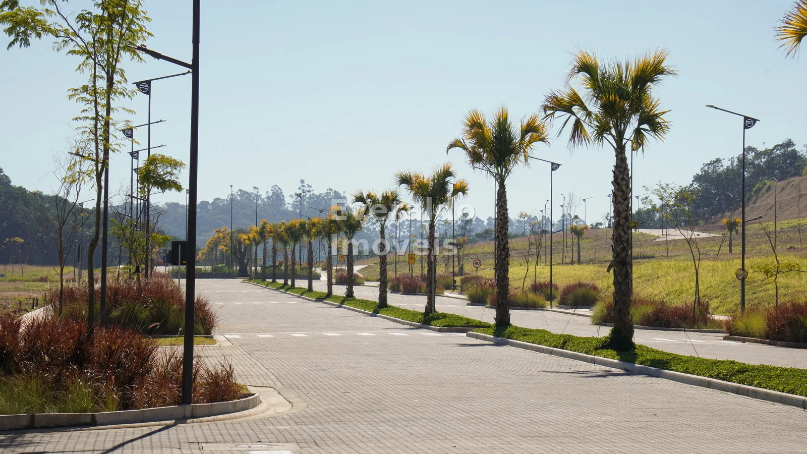 COLINAS DE CAMBORIÚ — Várzea do Ranchinho, foto 5
