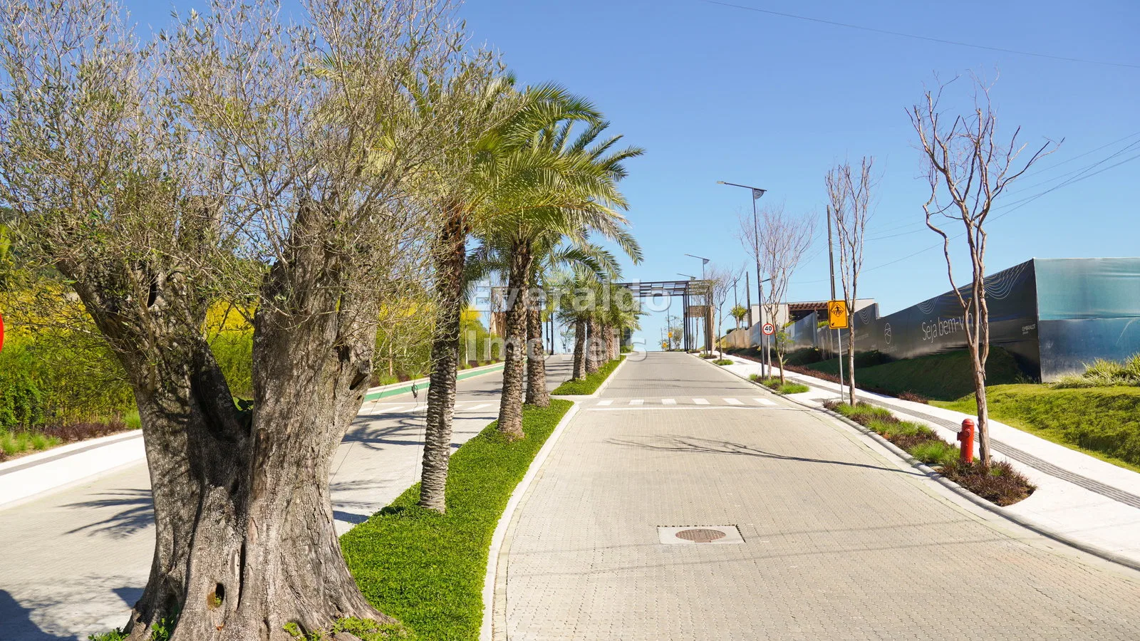 COLINAS DE CAMBORIÚ — Várzea do Ranchinho, foto 19